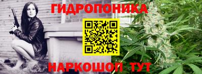 ПСИЛОЦИБИНОВЫЕ ГРИБЫ Славгород