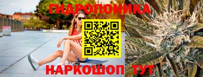 ПСИЛОЦИБИНОВЫЕ ГРИБЫ Славгород