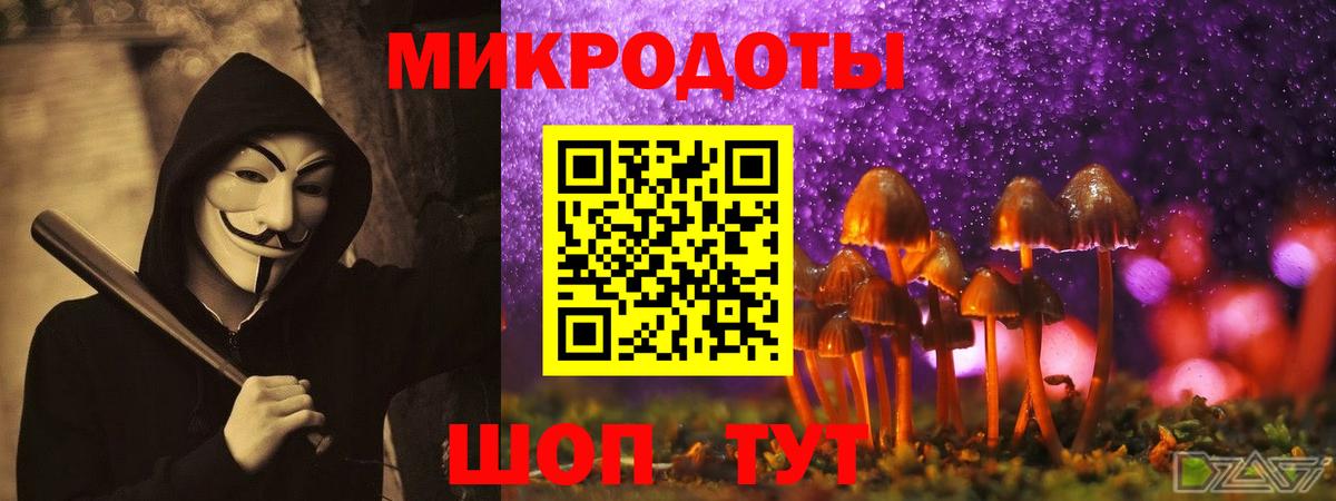 Псилоцибиновые грибы мицелий  Вход с VPN  Ноябрьск 